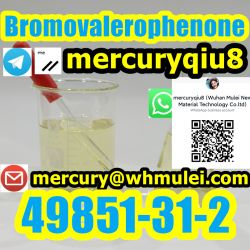 100% Guaranteed Delivery 2-Bromo-1-phenyl-1-pentanone CAS 49851-31-2 B