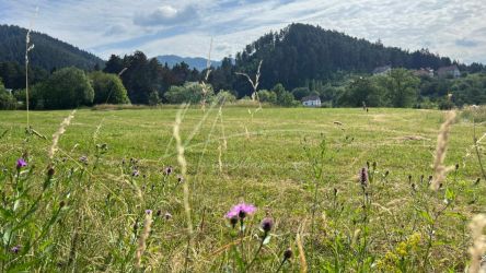 2 Loturi de teren intravilan, 400 mp. cu autorizatie constructie valab