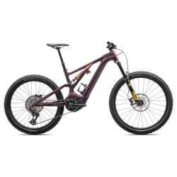 2024 Specialized Levo Alloy Öhlins Coil LTD Mountain Bike (GUN2BIKESHO