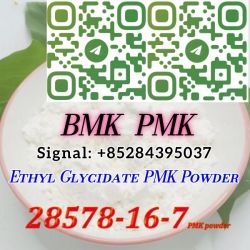 28578–16–7 PMK ethyl glycidate PMK POWDER 2026  pmk  bmk 