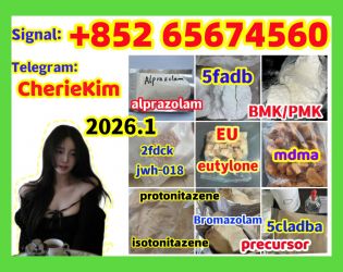  5CLADBA, Raw materials Spot suppliers 5F - ADB 100 safe very strong， 