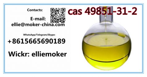 99% Purity 2-Bromo-1-phenyl-1-pentanone CAS 49851-31-2 2-Bromovaleroph