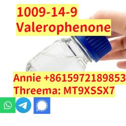 99% purity Valerophenone Cas 1009-14-9 factory price warehouse Europe 