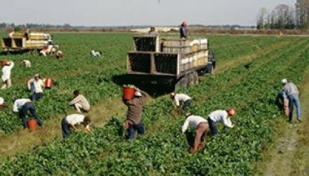 Agricultura italia