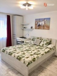 Apartament cu 1 camera, decomandat, de vanzare, zona Lipovei.