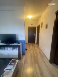 Apartament cu 2 camere, etaj 1, intre Lipovei și Aradului - ID V4184
