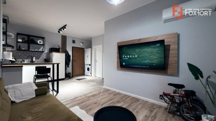 Apartament de inchiriat cu 2 camere, open space, zona Torontalului