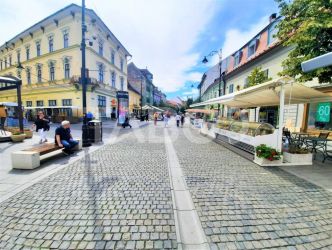 Apartament de vanzare cu 2 camere in inima orasului Sibiu