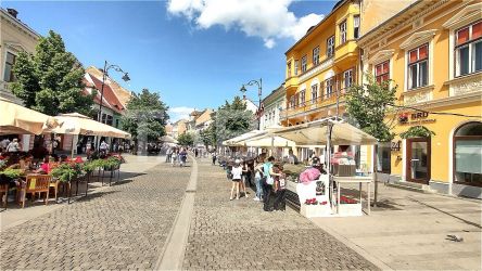 Apartament la cheie 2 camere 80 mpu in zona Centrului Istoric Sibiu