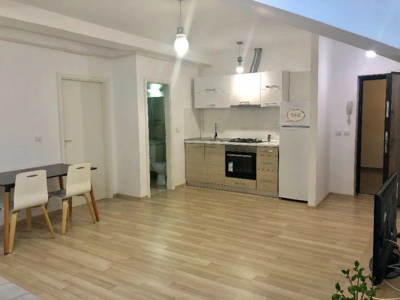 Apartament nou de inchiriat, 2 camere Semidecomandat  Tatarasi -8