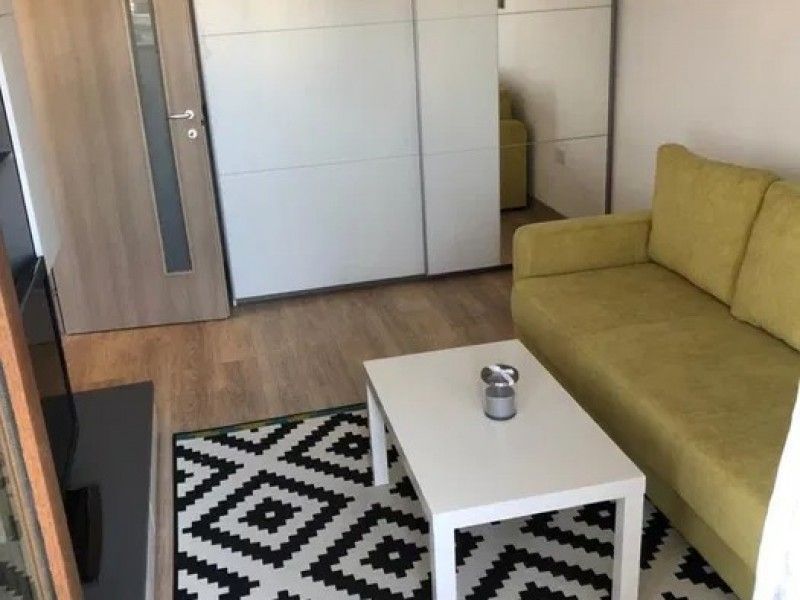 Apartament nou de inchiriat, o camera Decomandat  Nicolina -1