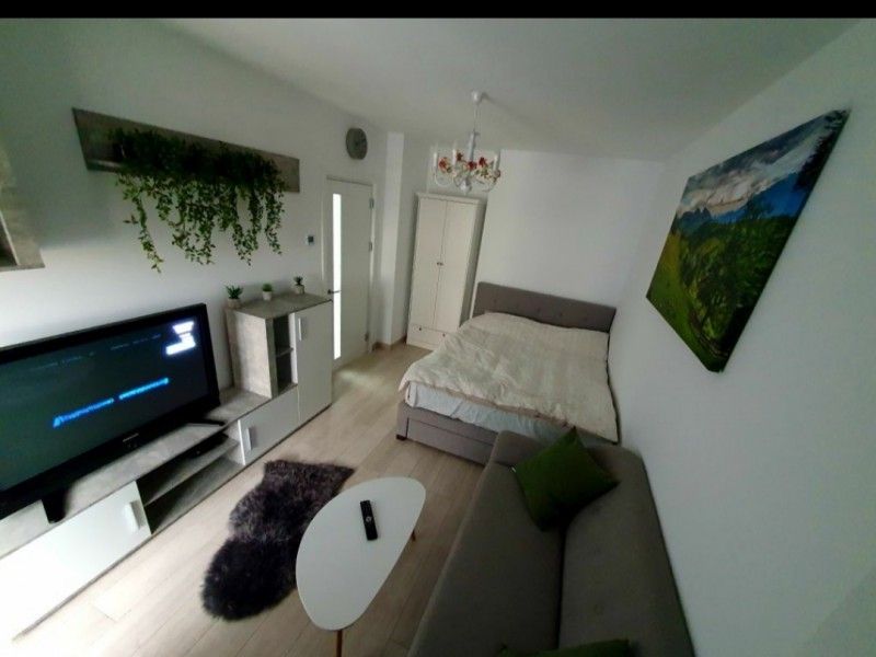 Apartament nou de inchiriat, o camera Decomandat  Tatarasi -8