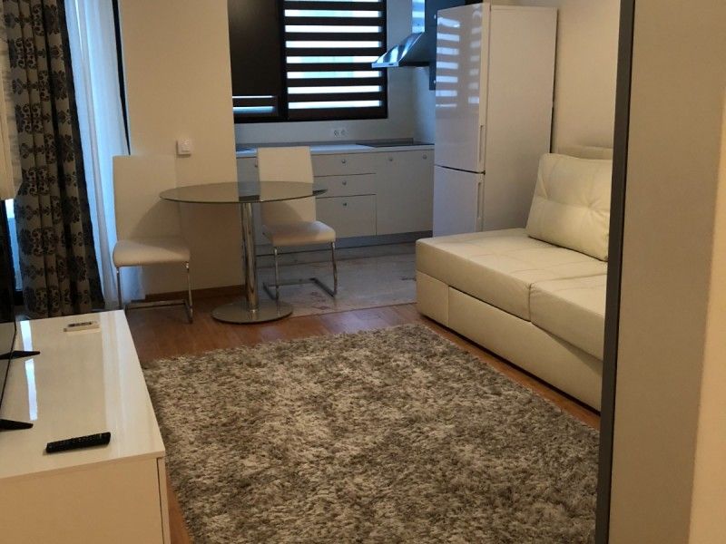 Apartament nou de vanzare, o camera Decomandat  Copou -14