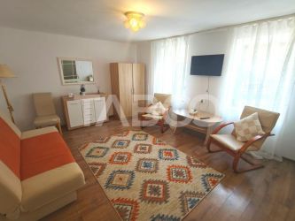 Apartament spatios cu 2 camere - mobilat si utilat  - Pet Friendly