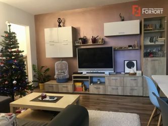 Apartament spatios cu 2 dormitoare si living, de vanzare, zona Aradulu