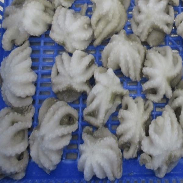 Aprovizionarea cu caracatițe din Vietnam-2