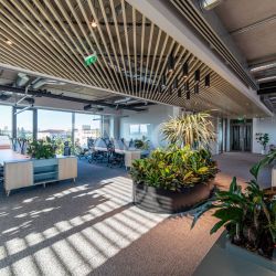Birouri premium in Sibiu–Spatii flexibile moderne pentru companii