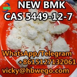 BMK Glycidic Acid (sodium salt) powder CAS 5449-12-7