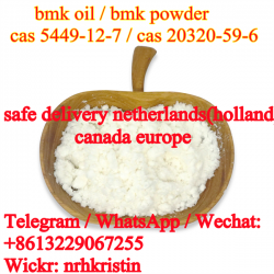 BMK powder CAS5449-12-7 to Holland  with door to door safe delivery