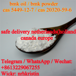 Bmk powder pmk powder Holland door to door 5449-12-7 pmk bmk glycidate