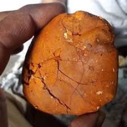 Buy cow /Ox Gallstone Available On Stock Now @ (WhatsApp: +23767352822