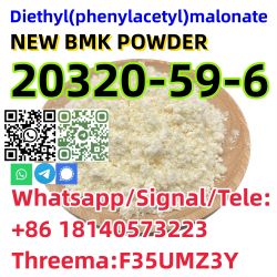 Buy Manufacturer High Quality New Pmk Oil CAS 20320-59-6 with Safe Del