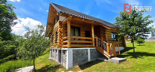 Cabane cu 7 camere de vanzare in Albac