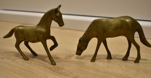 Cai din bronz