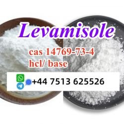 Cas 14769-73-4 Levamisole powder base and hcl stock ready ship