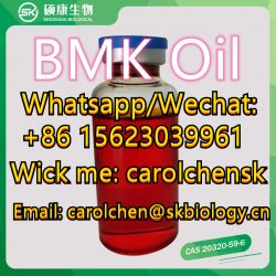 CAS 20320-5-6 bmk powder oil with sample free 
