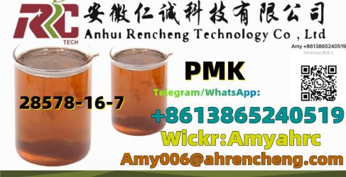 CAS 28578-16-7 NEW PMK,Pmk,Pmk Glycidate Oil