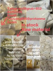 CAS 28578–16–7 PMK ethyl glycidate NEW PMK POWDER
