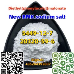 Cas 5449-12-7 New BMK sodium salt Europe warehouse BMK Glycidic Acid 