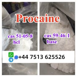 Cas 59-46-1 Procaine base powder Procaine Hcl safe to Holland Poland