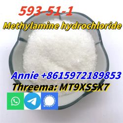 CAS 593-51-1 Methylamine hydrochloride LT-S9151 good price with high q