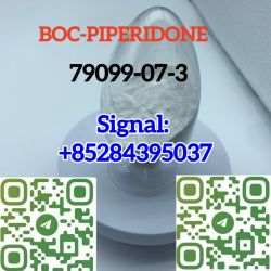 CAS 79099-07-3 1-Boc-4-Piperidone for maerica market good price