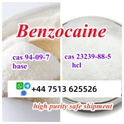 Cas 94-09-7 Benzocaine base powder cas 23239-88-5 Benzocaine hcl high 