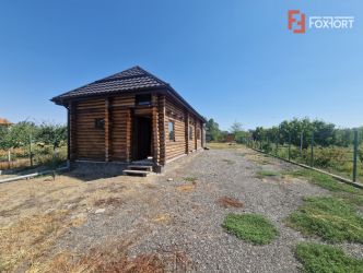 Casa de vacanta in Icloda, langa Balta de pescuit Sportiv Icloda famil
