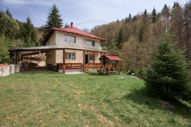 Casa de vacanta sau pensiune in Dâmbovicioara 5 camere, 5 bai, 6412 m