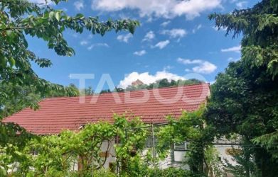Casa de vanzare cu 2 apartamente separate si teren 544 mp Cisnadioara