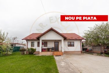 Casa de vanzare in Albota – liniste, spatiu si acces rapid catre Pit