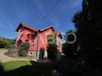 Casa de vanzare  individuala  cu 950mp teren Saliste zona deosebita