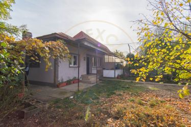 Casa - Golesti - Stefanesti - 3000 Mp Teren 