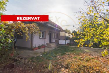 Casa - Golesti - Stefanesti - 3000 Mp Teren 