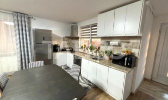 Casa individuala  cu 3 camere de vanzare  500 mp teren Sura Mare