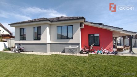 Casa individuala cu 4 camere, Sacalaz - Pivnita la demisol cu 5 incape