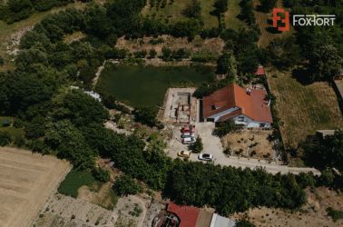 Casa individuala cu 8 camere si lac cu pesti, teren 4424 mp - Jebel