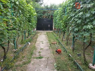 Casa individuala de vanzare in Timisoara | Teren 421 mp | Plopi