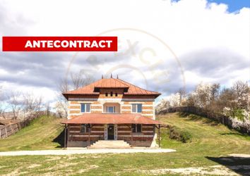 Casa P+1 langa padure cu teren 4752 mp Cosești Arges