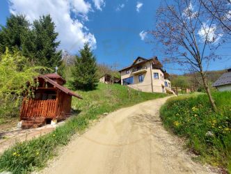 Casa primitoare de închiriat in Valea Ursului-spațiu, natura si lini